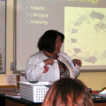img_stem_2012b